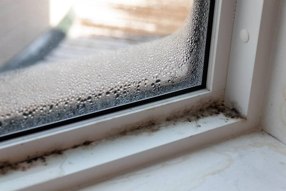indoor air quality testing-mold build up on window sill